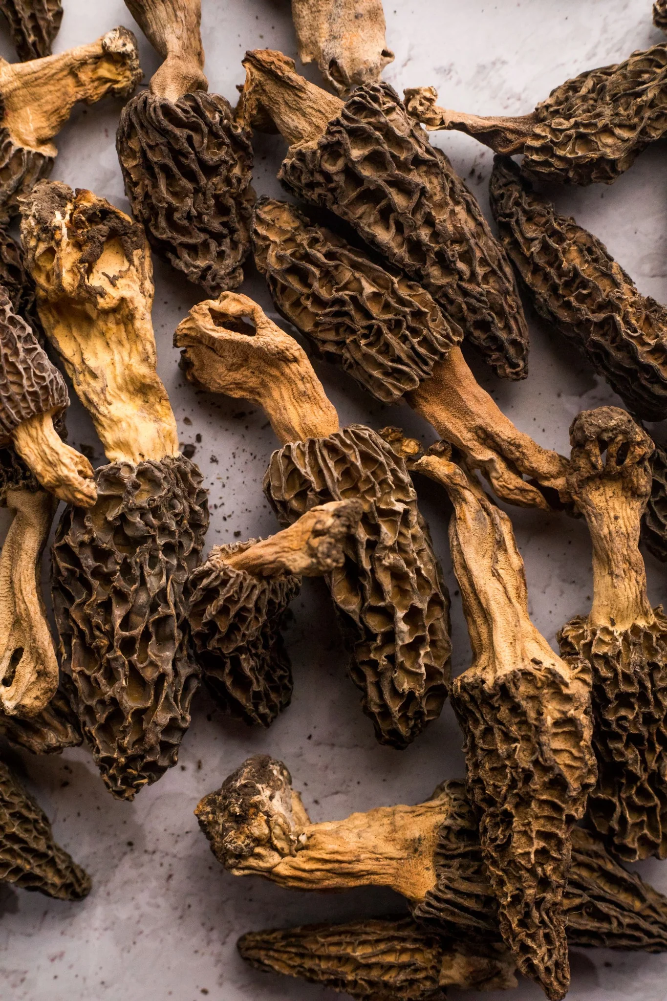 Gucchi Mushrooms – Rare Himalayan Morels, Handpicked & Sun-Dried