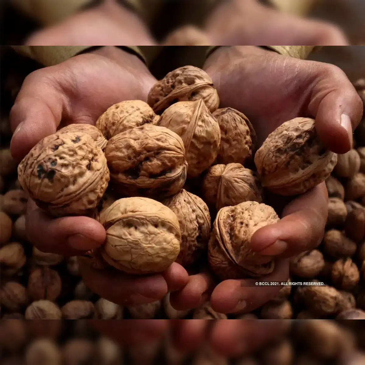 Premium Kashmiri Walnuts – Naturally Grown & Hand-Cracked