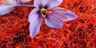 Kashmiri Saffron